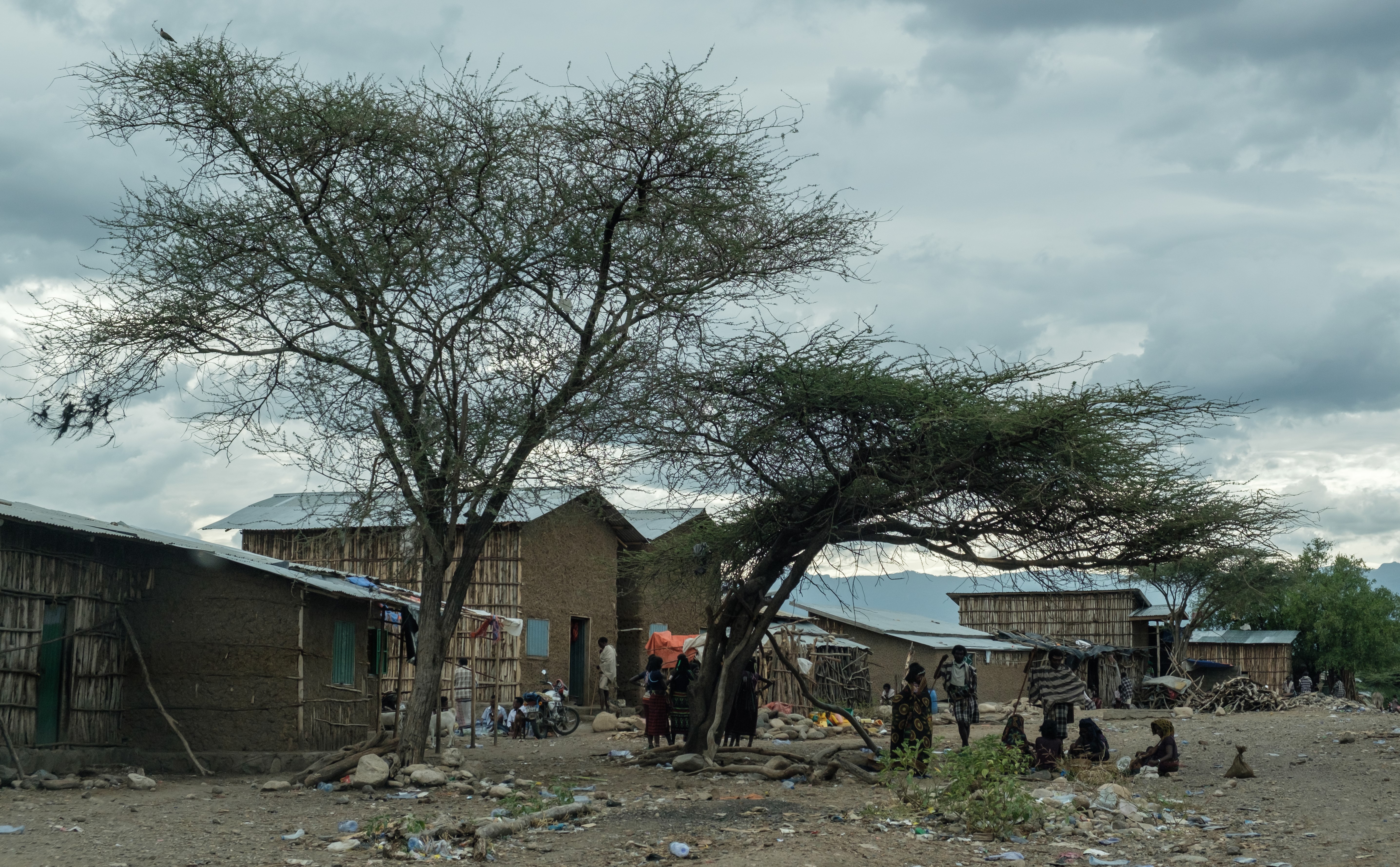 ‘A dream come true’? Adolescents’ perspectives on urban relocation and ...