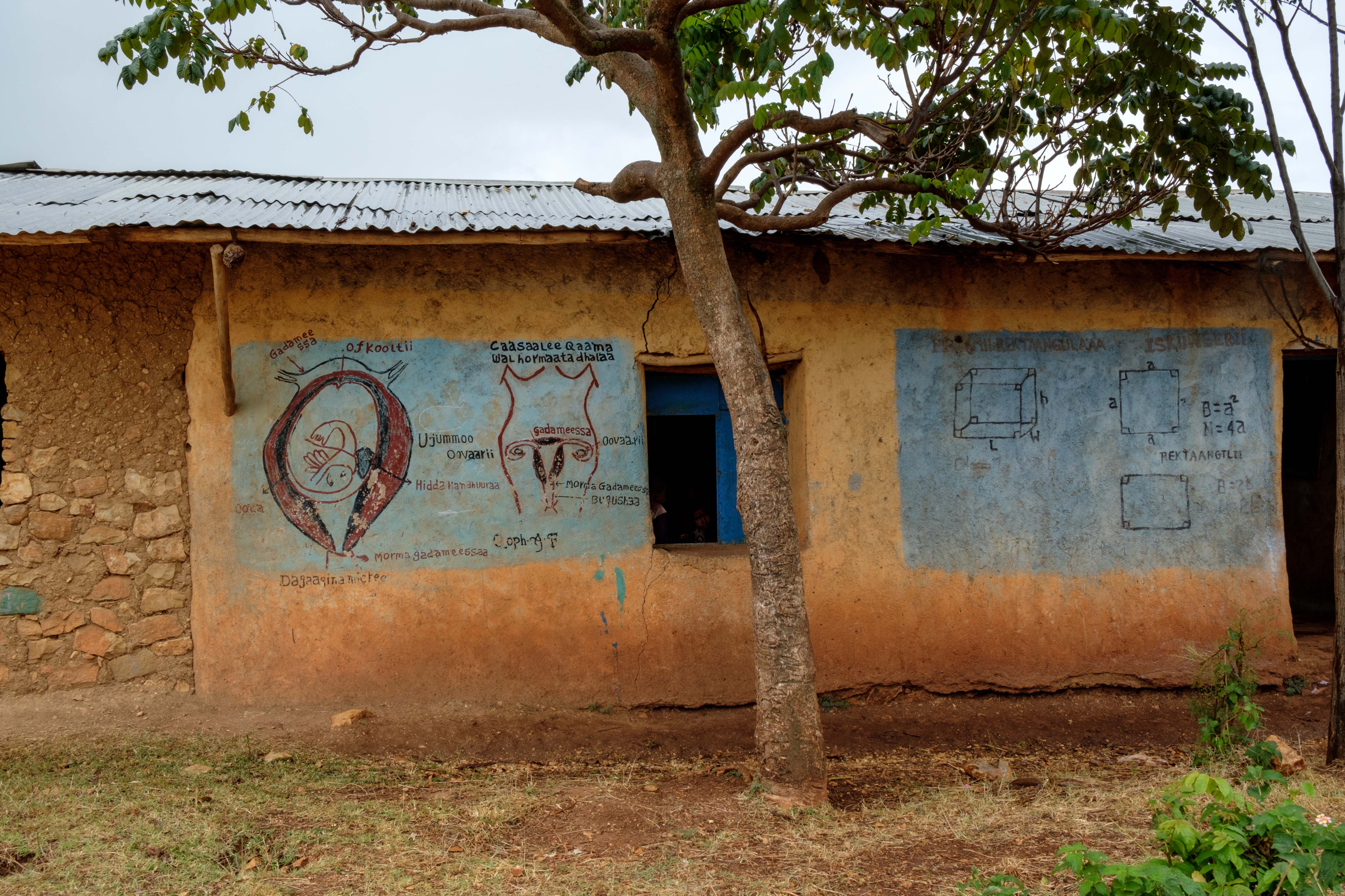 Young women involved in commercial sex work in urban Ethiopia ...
