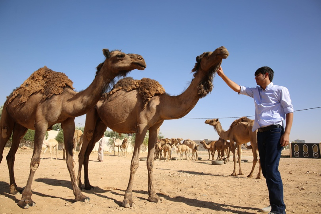 With-the-camels