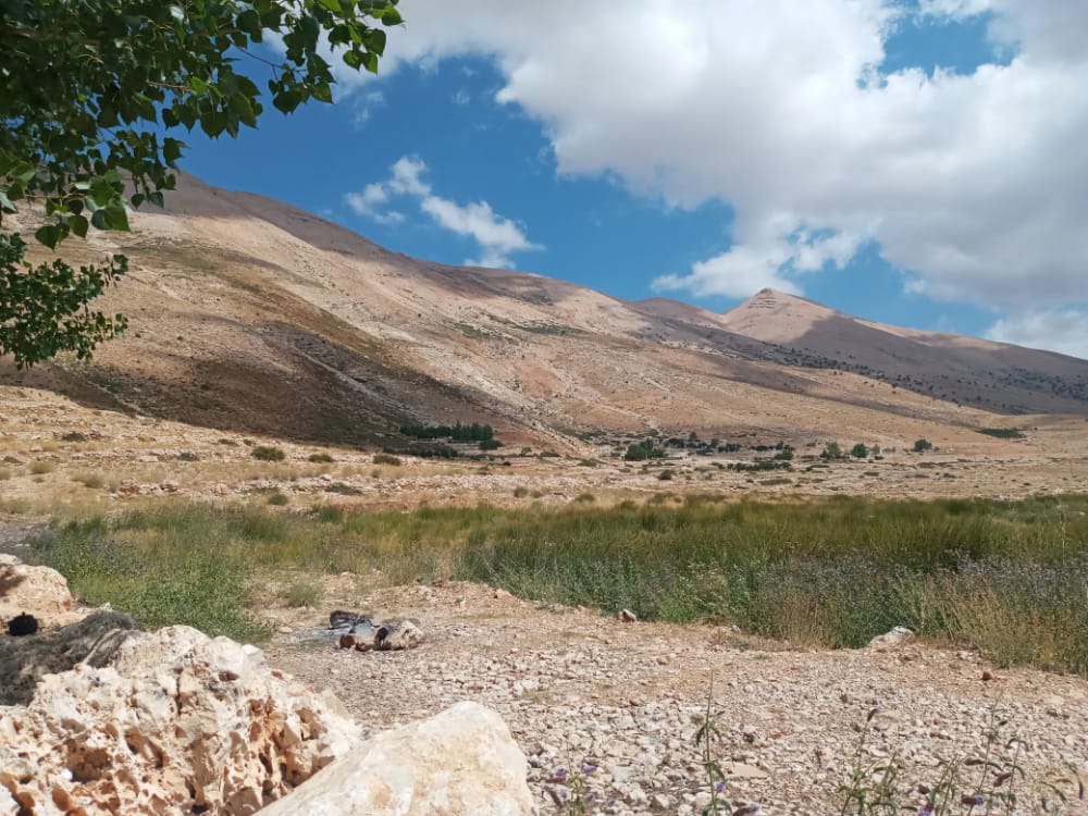 LB_PART2021_BAA_RESP01_CLIMATE_LEB_BOY_STRY2