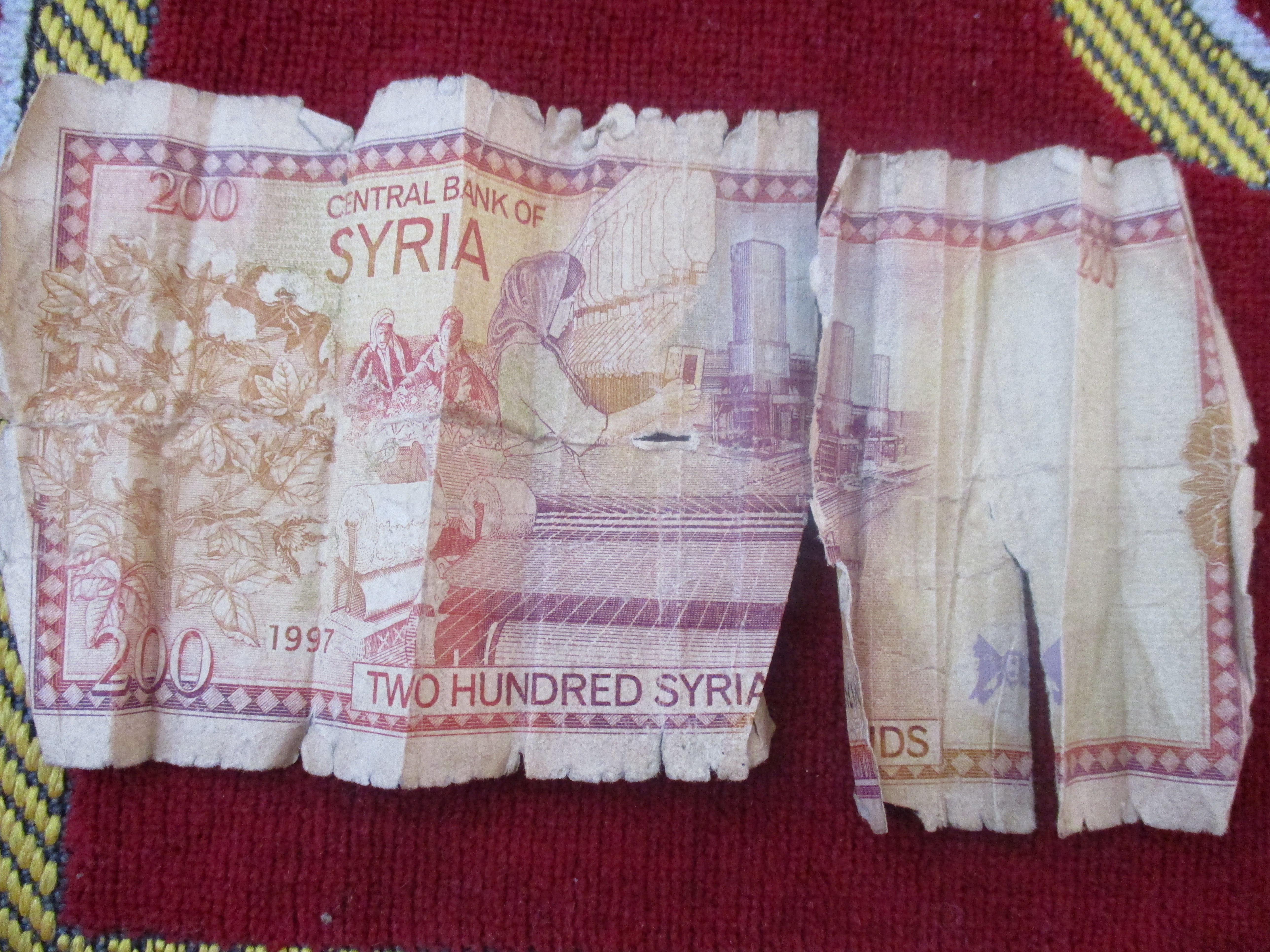 suha-3