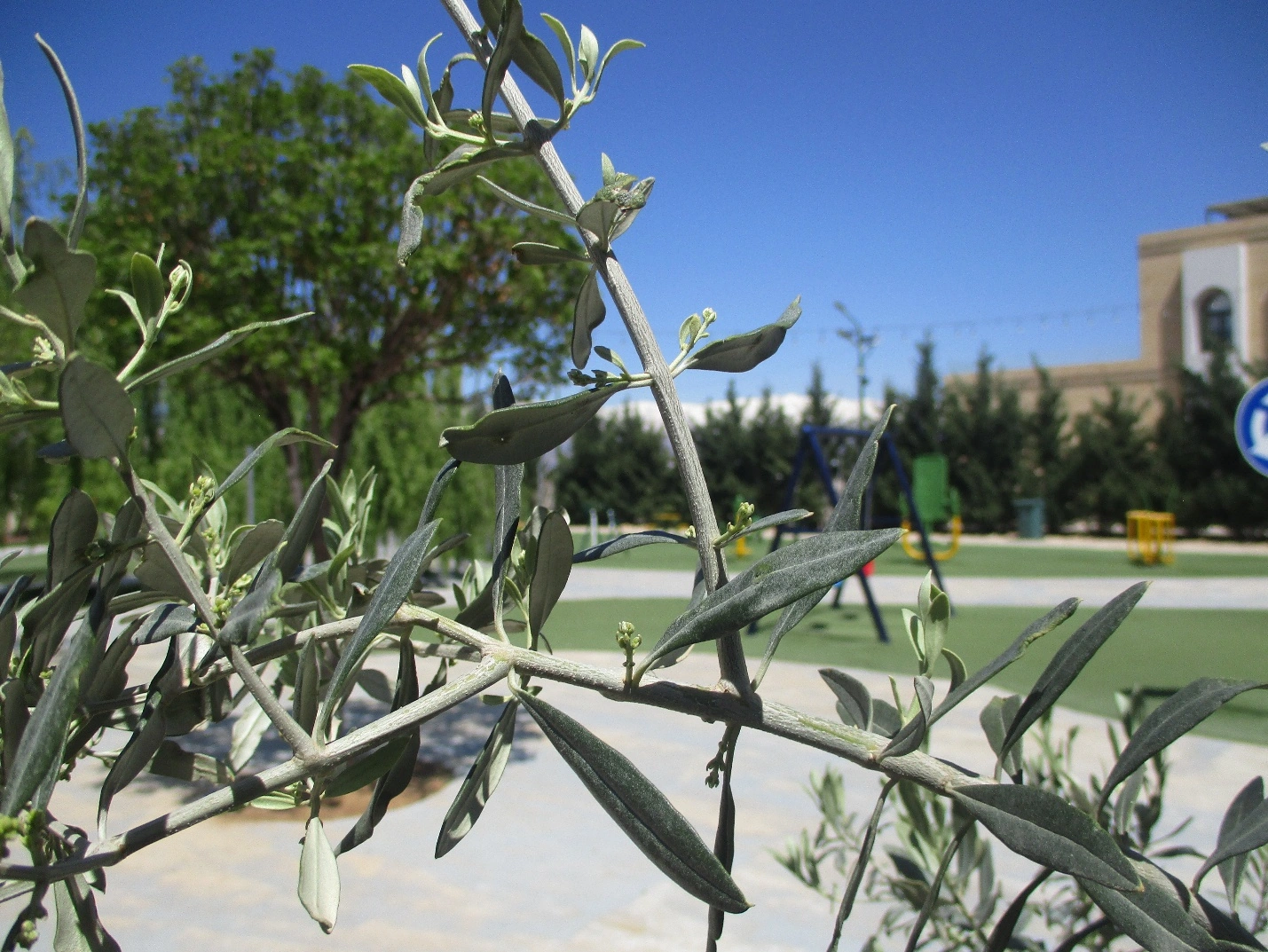 image050