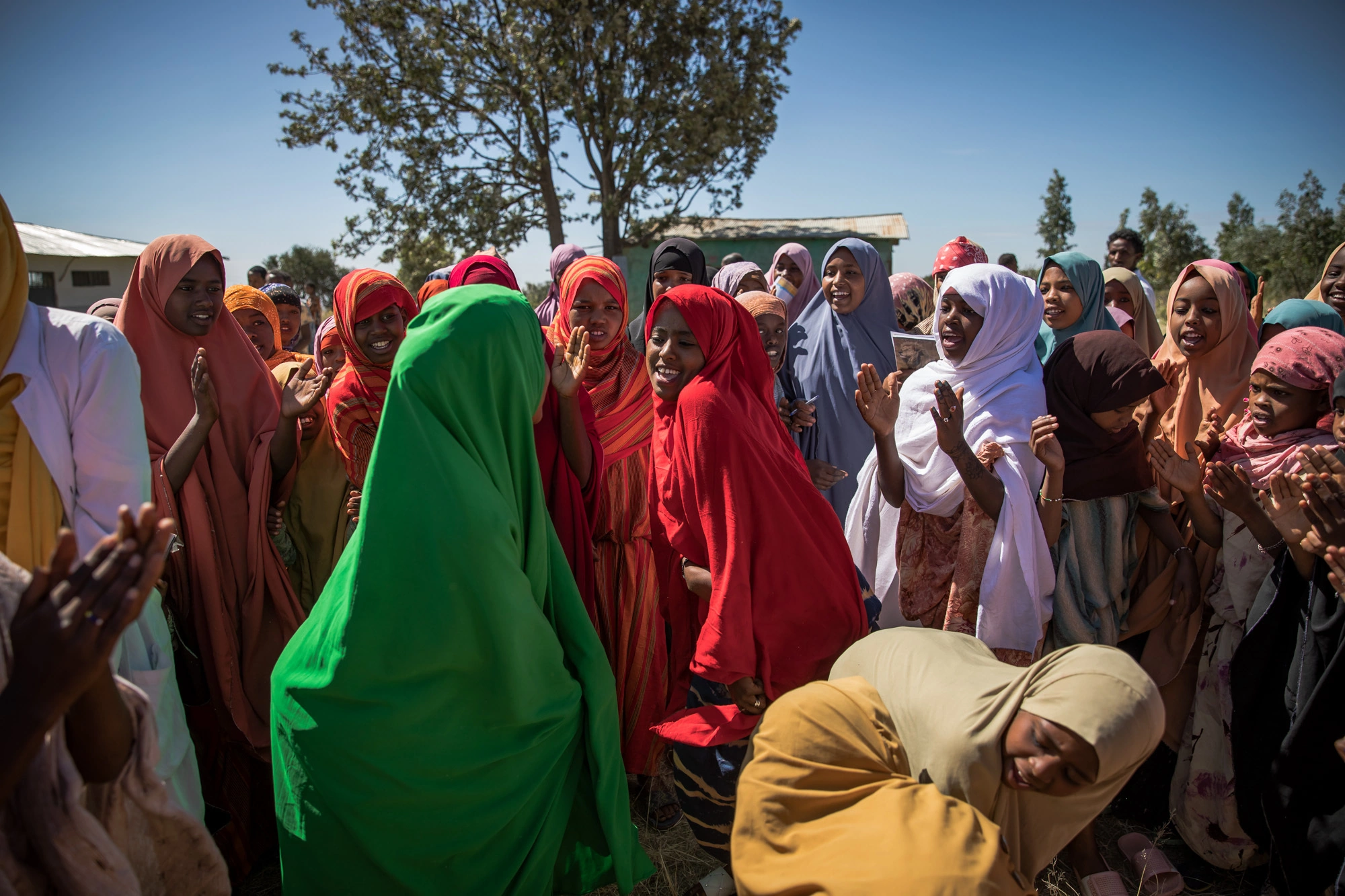 (c)NBertrams_GAGE0680 (1)